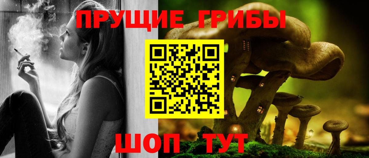 Псилоцибиновые грибы Cubensis  Вход с VPN  Галлюциногенные грибы Cubensis  Сокол 