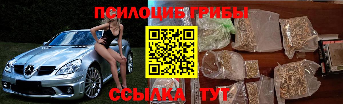 Галлюциногенные грибы Cubensis Сокол